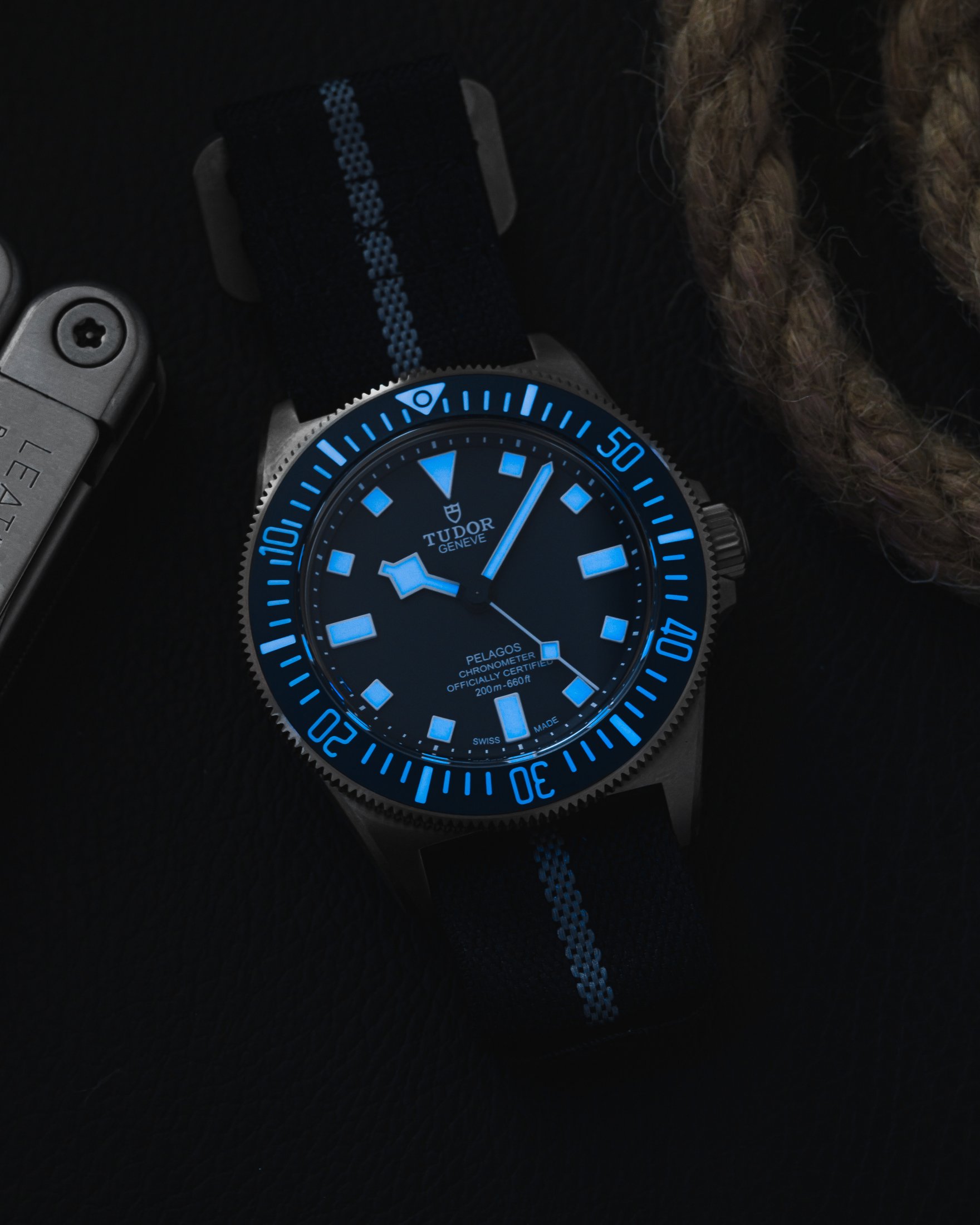 Tudor Pelagos FXD