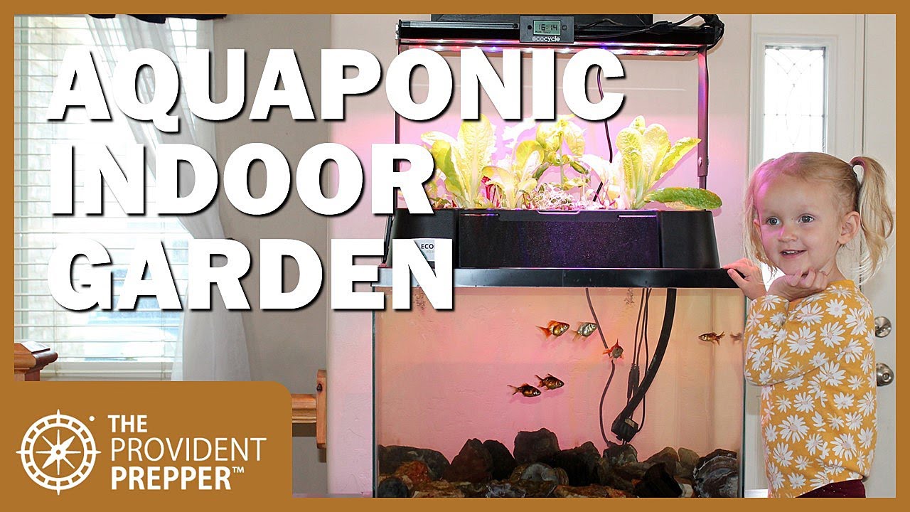 ECO-Cycle Aquaponics Indoor Fish Tank Review thumbnail